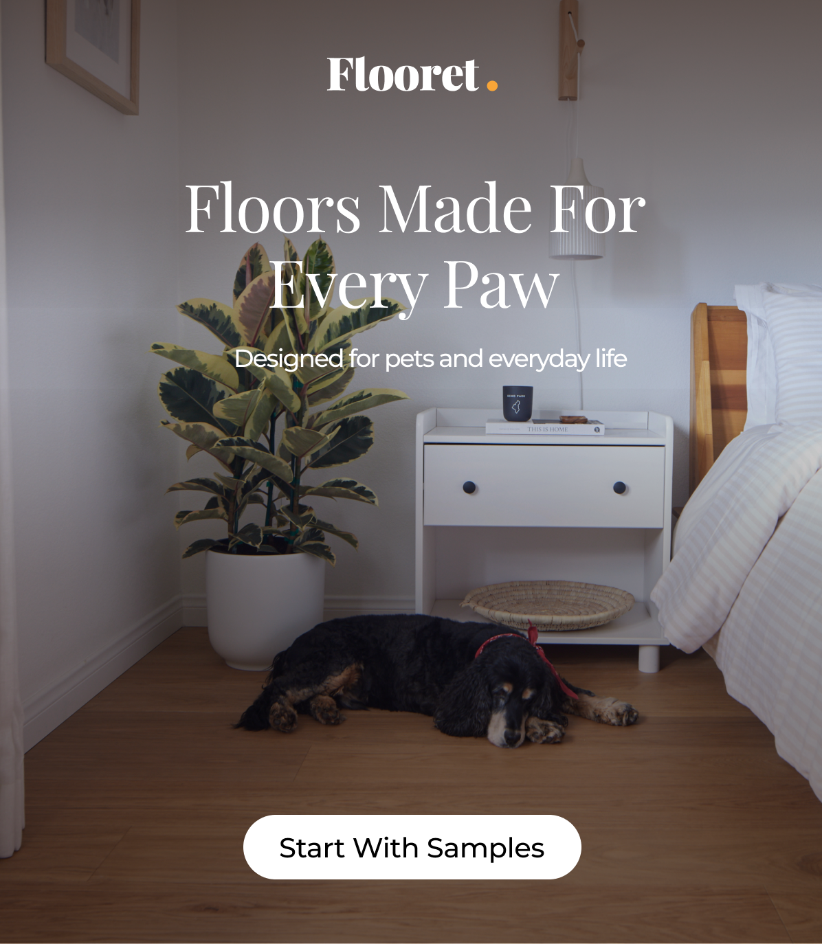 Floors Made for Every Paw