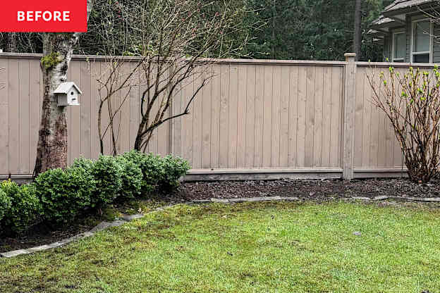 This Boring Backyard Corner Became a Gardener’s Dream