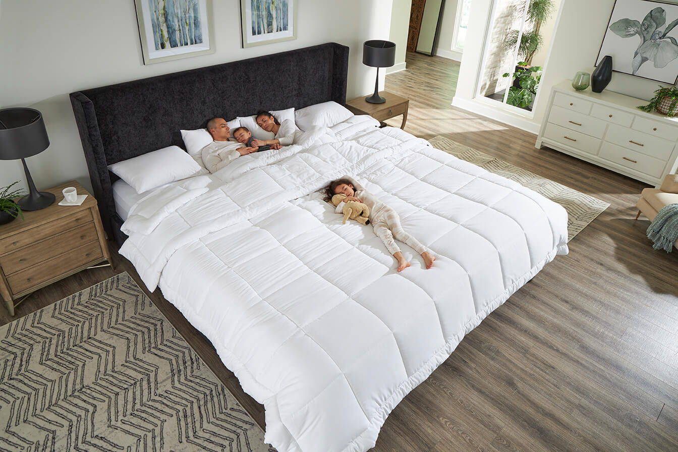 The Duvet Comforter