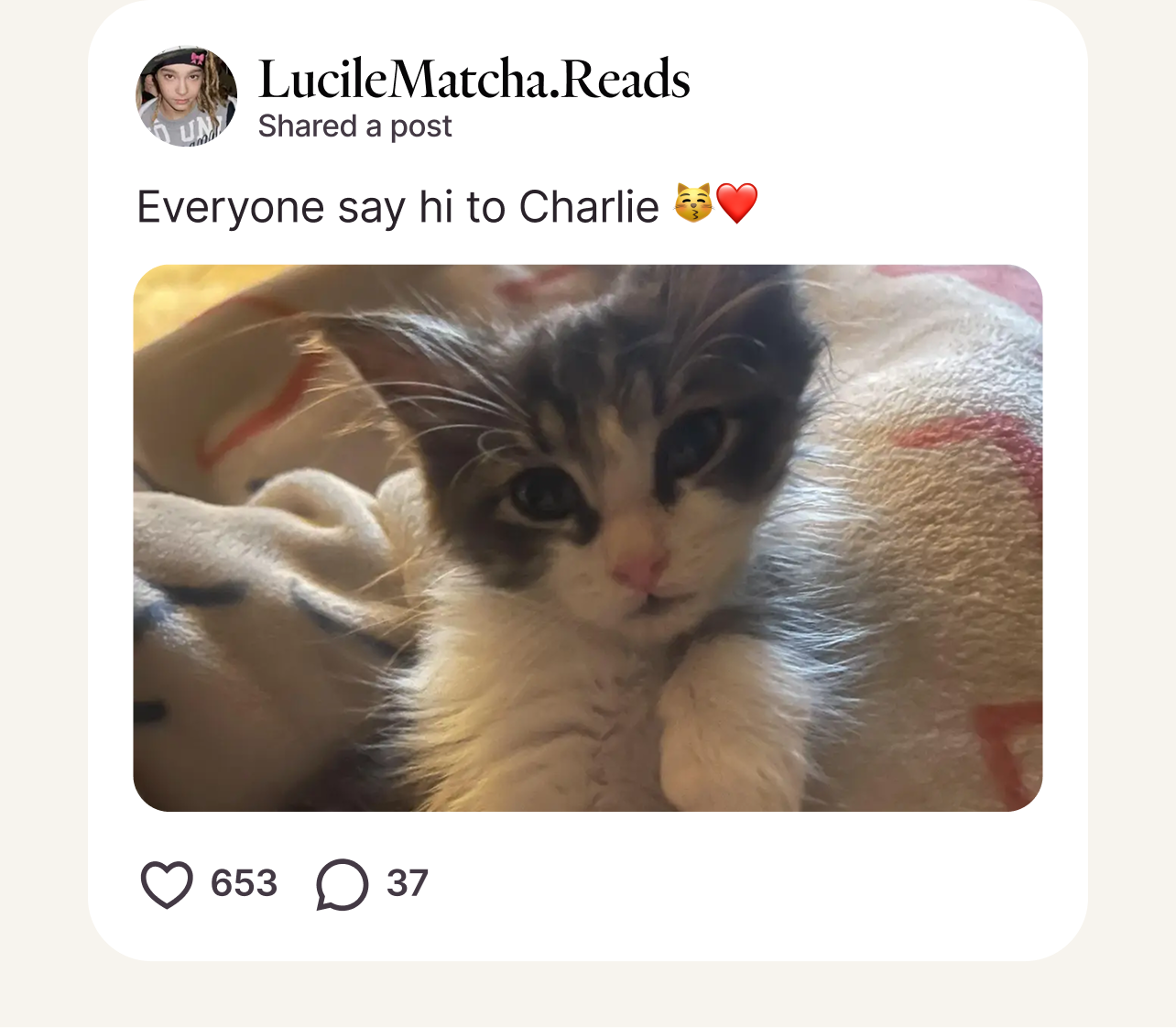 Post from LucileMatcha.Reads