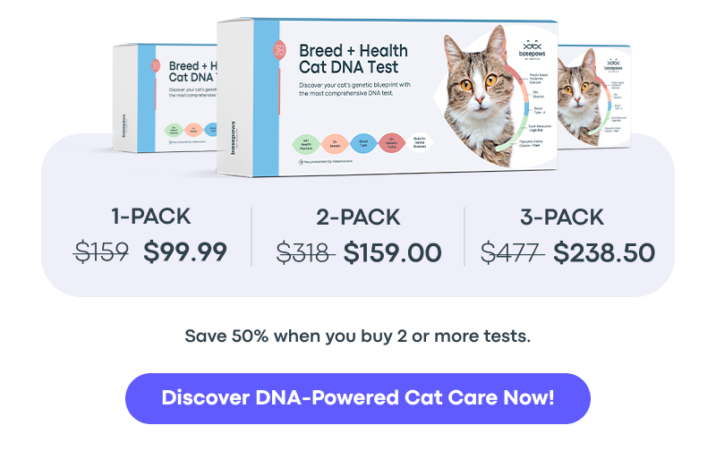 Discover DNA-Powered Cat Care Now!