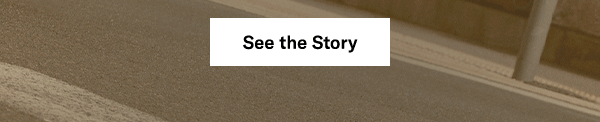 See the Story
