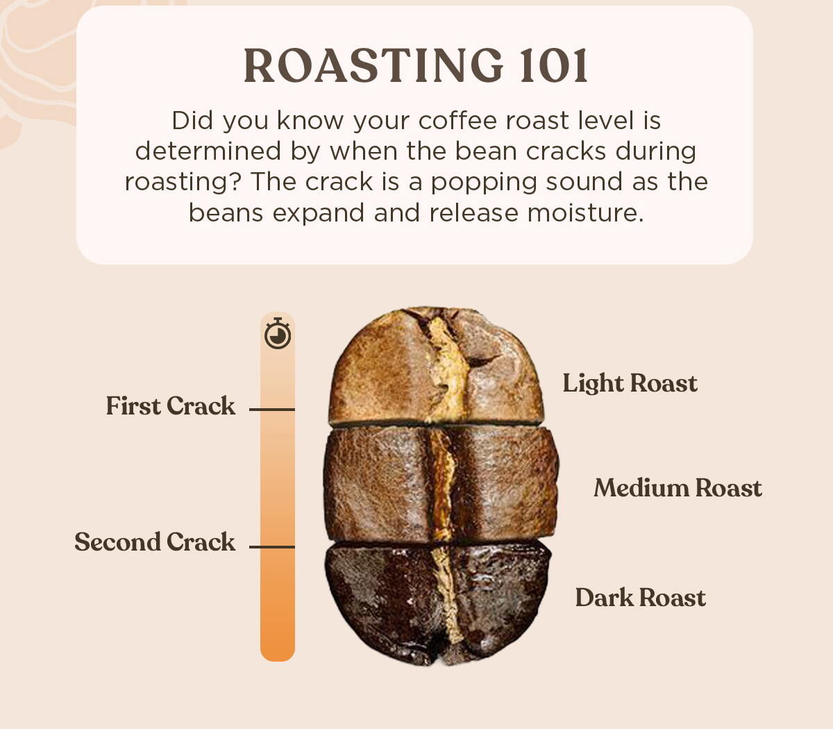 Roasting 101