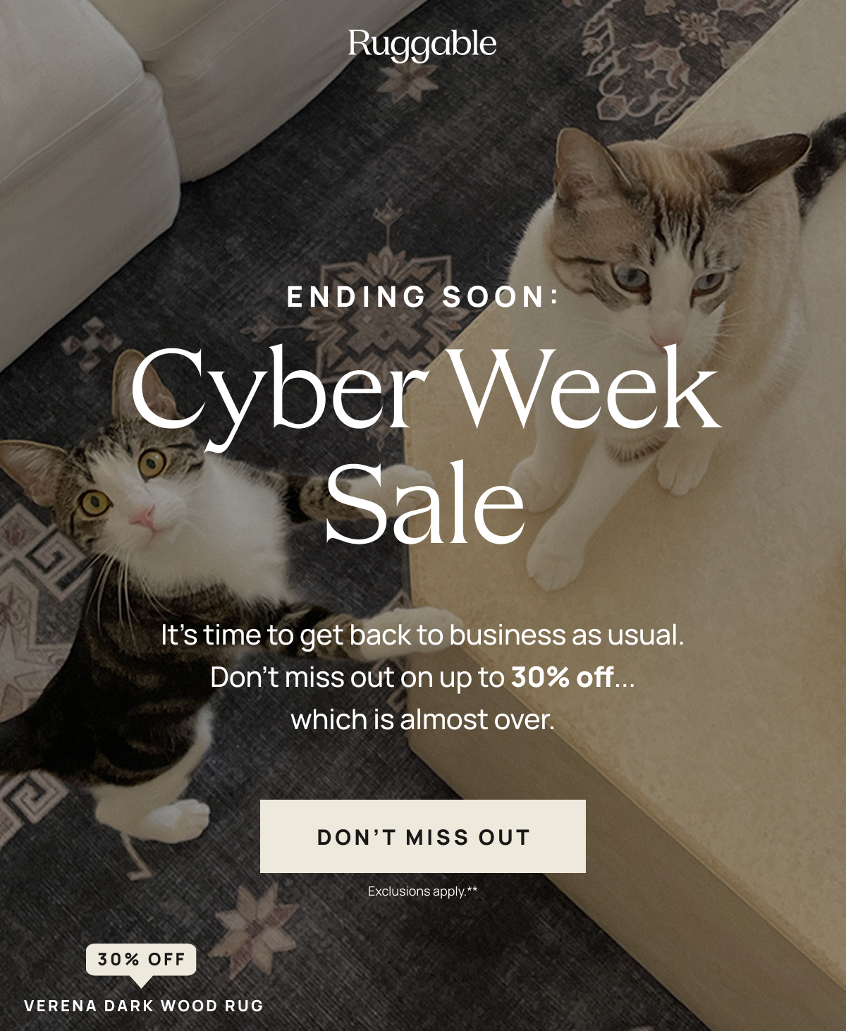 Ending Soon: Cyber Week Sale | Don't Miss Out