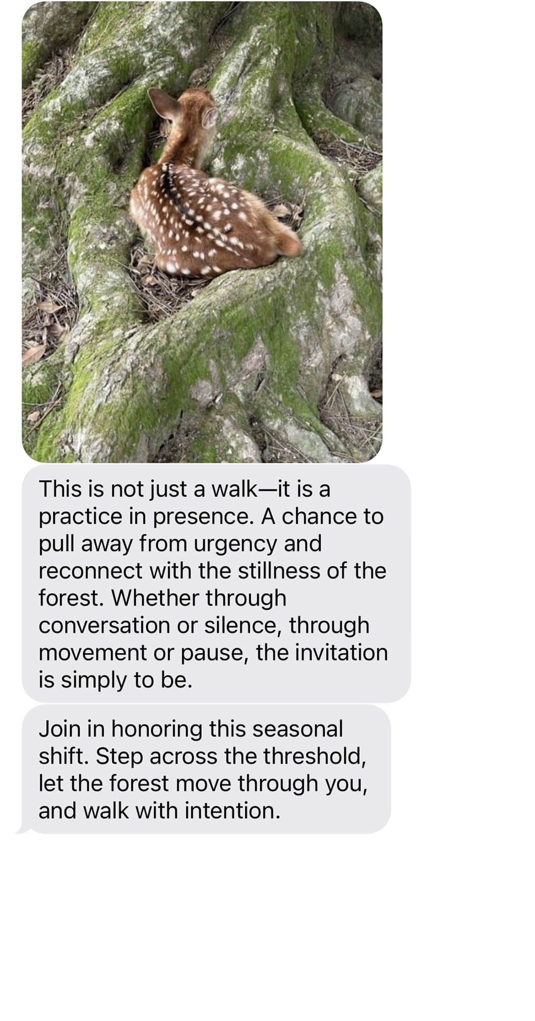 OEM + EARTHSEED Nature Walk