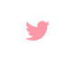 cabi twitter