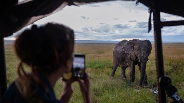 A woman photographing an elephant on her phone at Kenya'sMaasai Mara National Reserve.