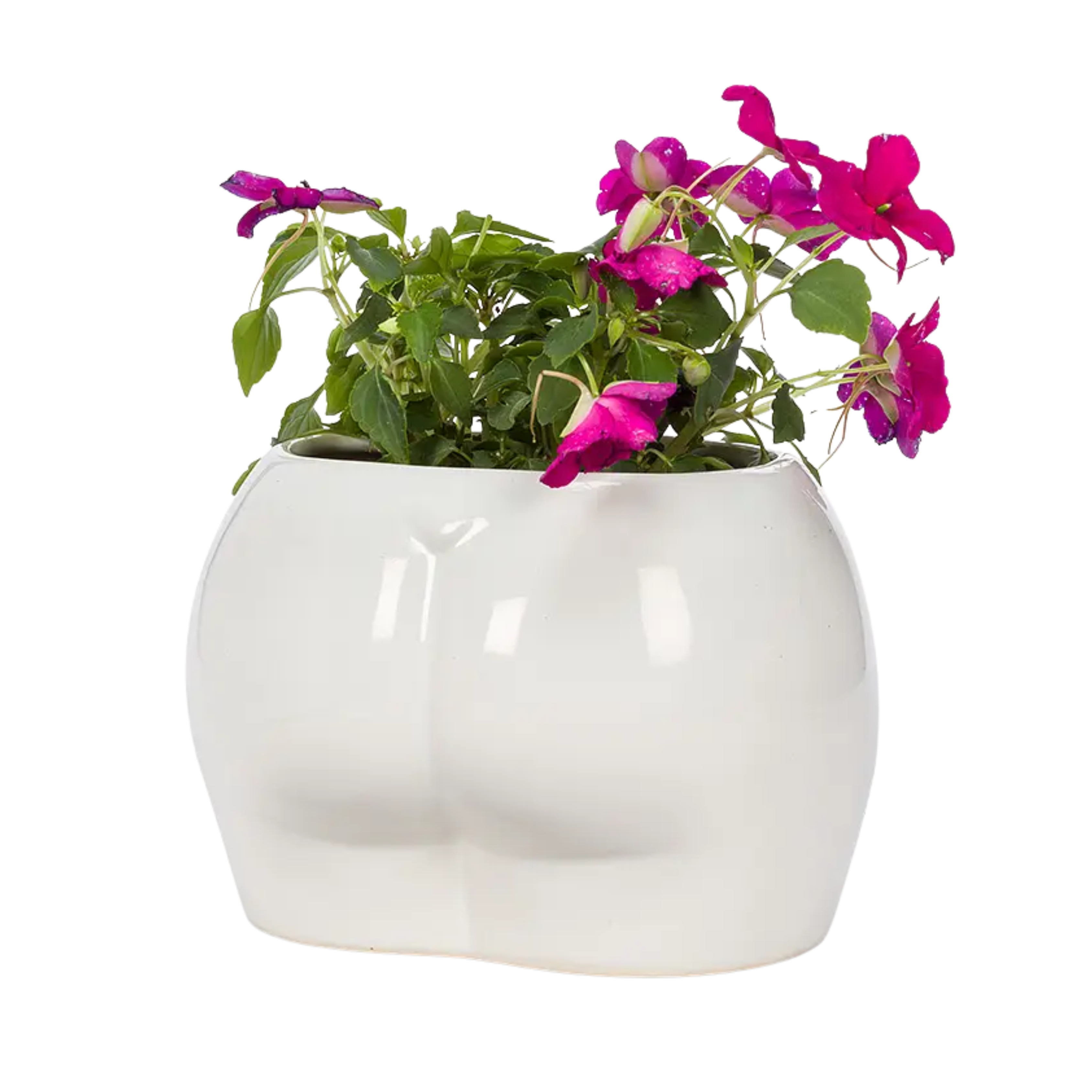 Image of Curvy Booty Planter