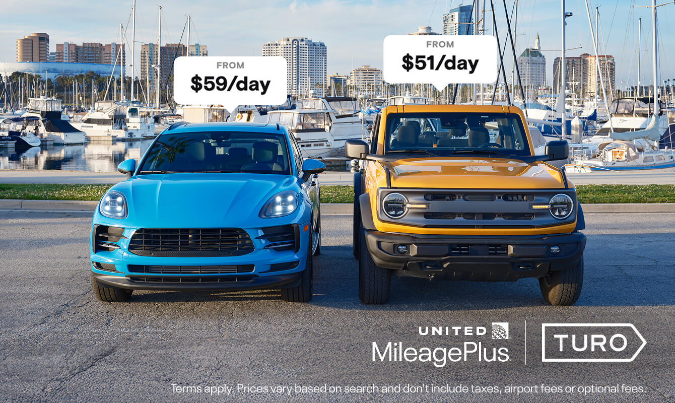 A blue car and a gold car parked side by side next to a marina