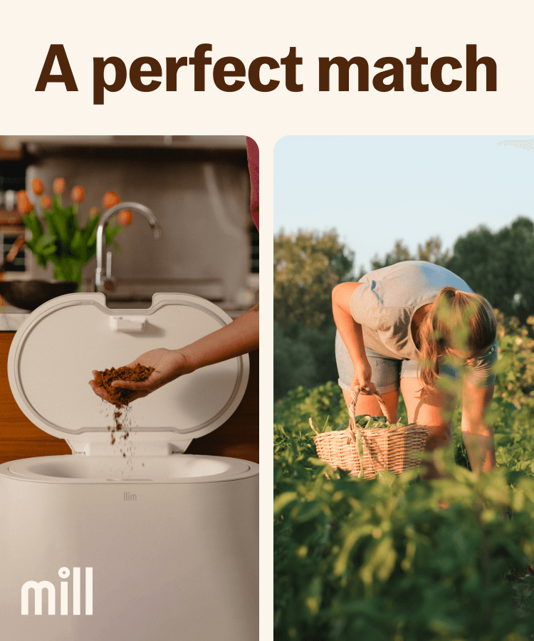 A perfect match: Photo of Mill and a photo of a person gardening