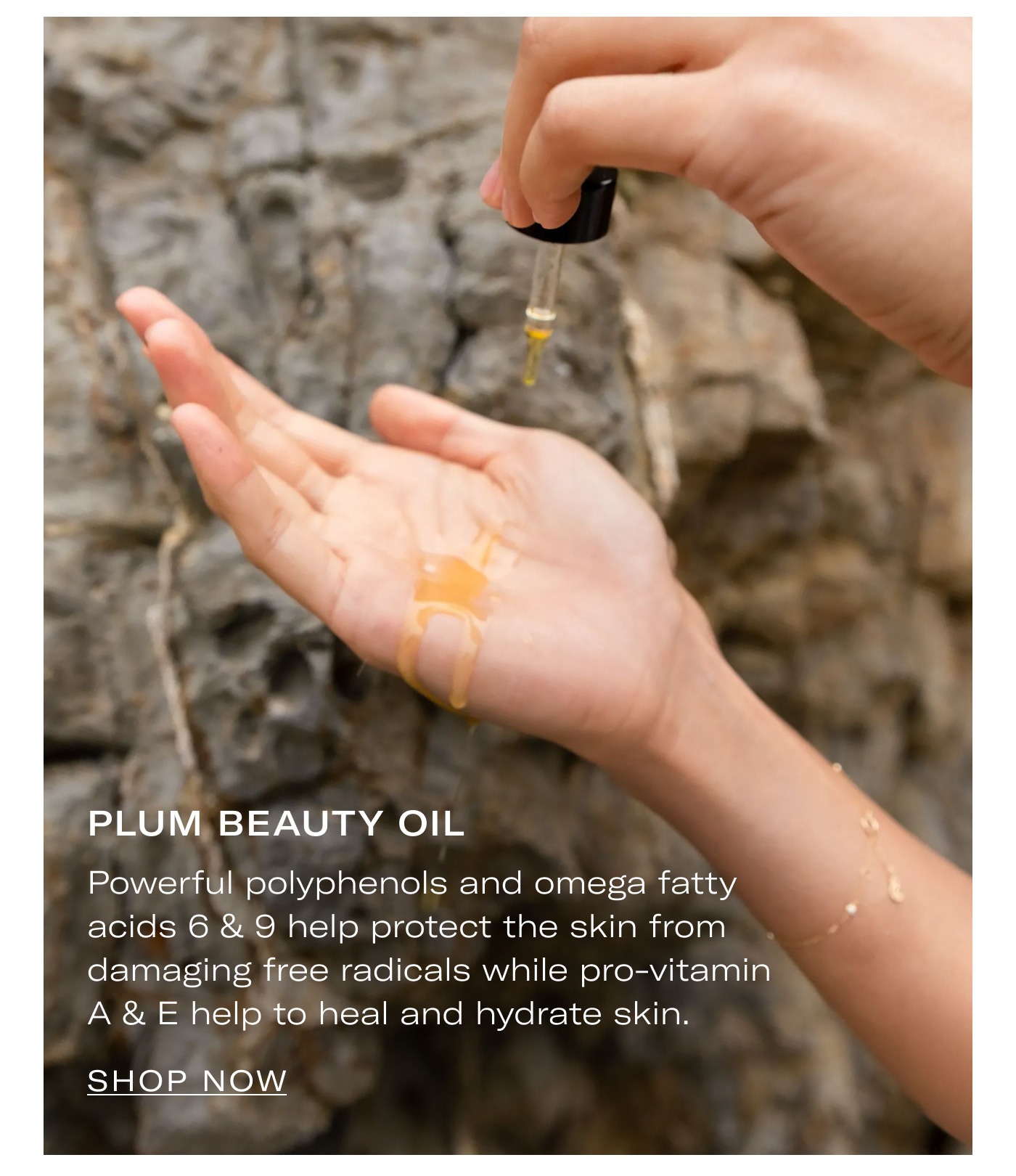 PLUM BEAUTY OIL  Powerful polyphenols and omega fatty acids 6 & 9 help protect the skin from damaging free radicals while pro-vitamin A & E help to heal and hydrate skin.  SHOP NOW