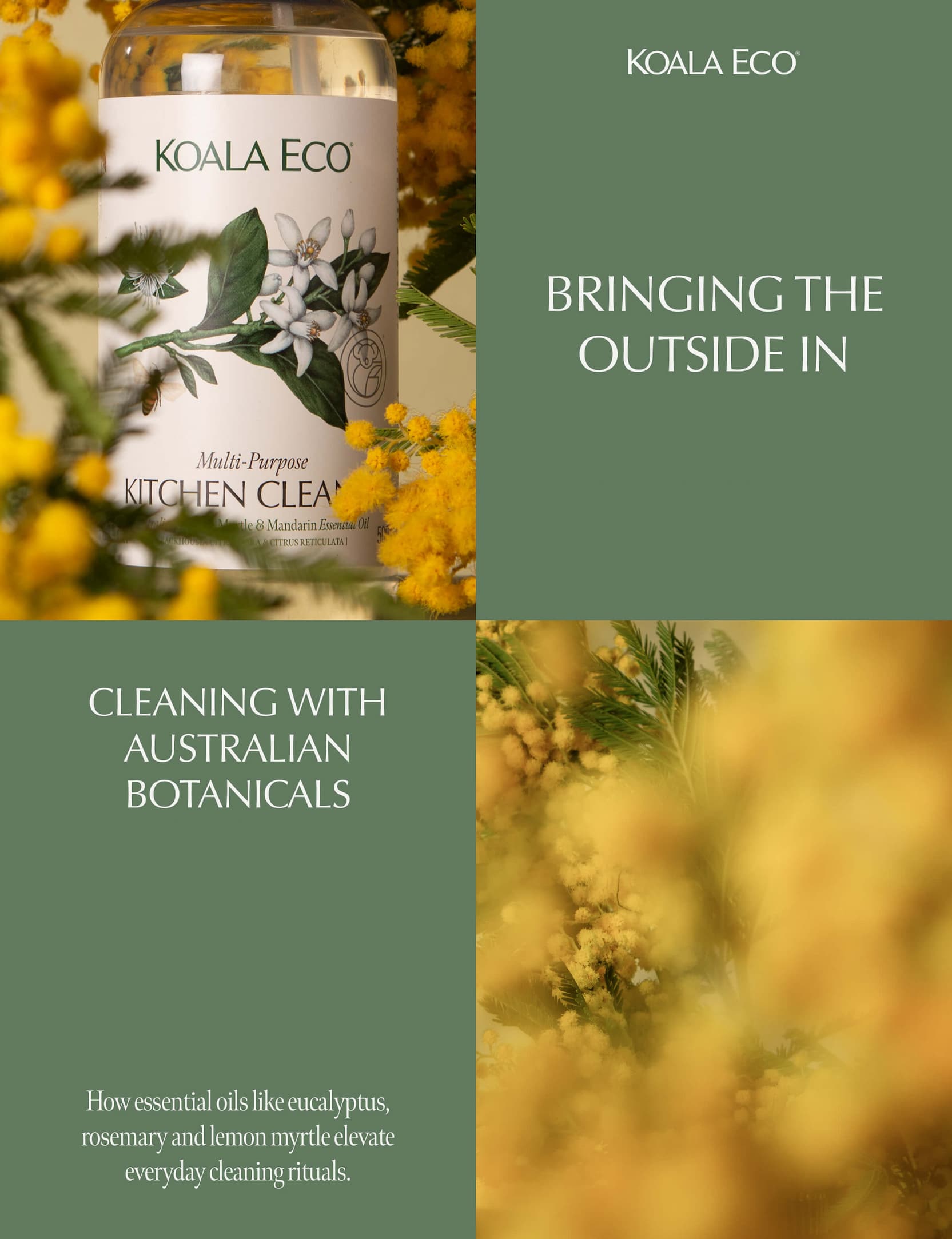 KOALA ECO: Bringing the outside in