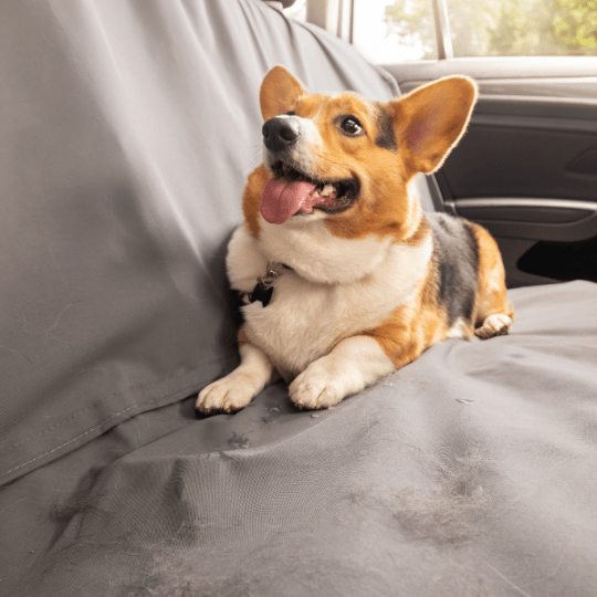 Seat Protector Image