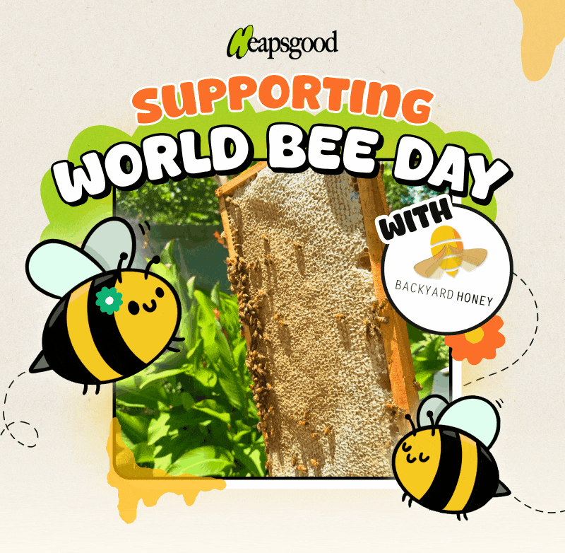 Supporting World Bee Day