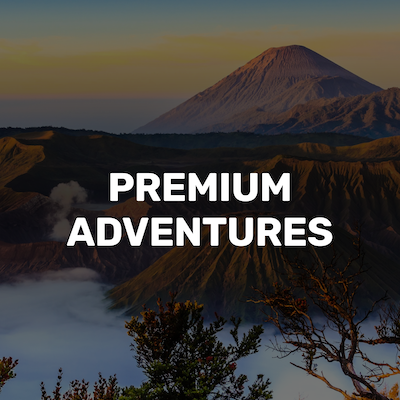 Newsletter-3-Premium