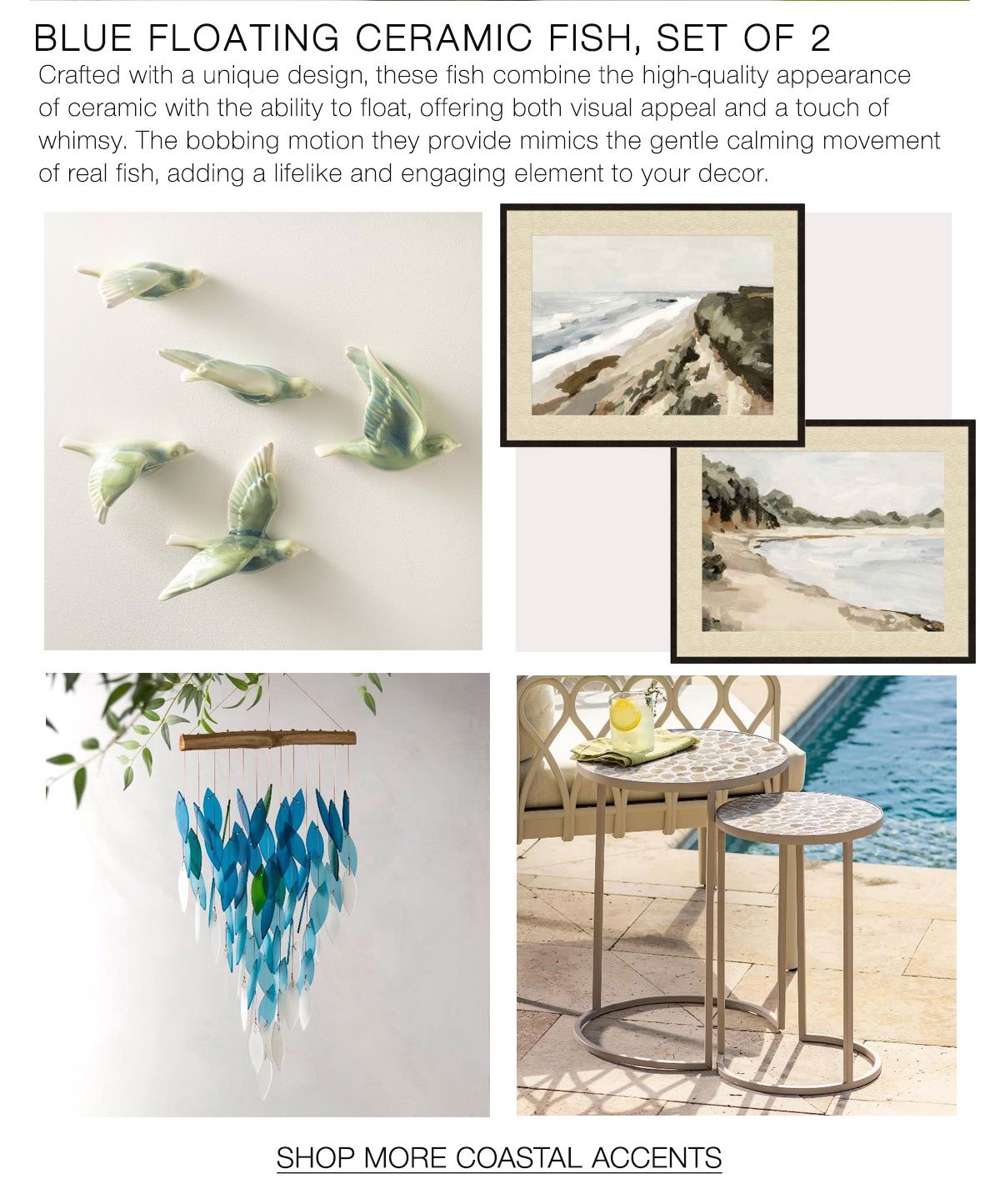 VTe-20260605-Coastal_02