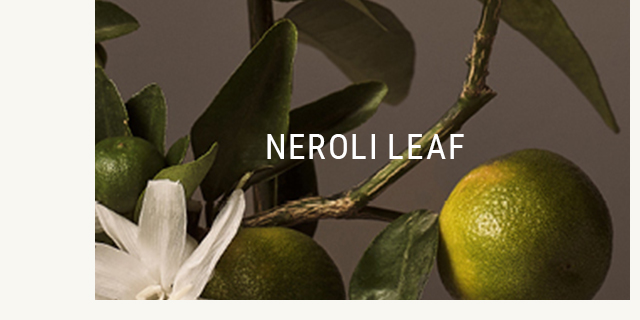 Neroli Leaf
