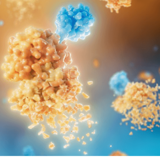 Protein degradation marks aberrant, cancer-driving proteins for disposal, effectively eliminating them from the cell. 