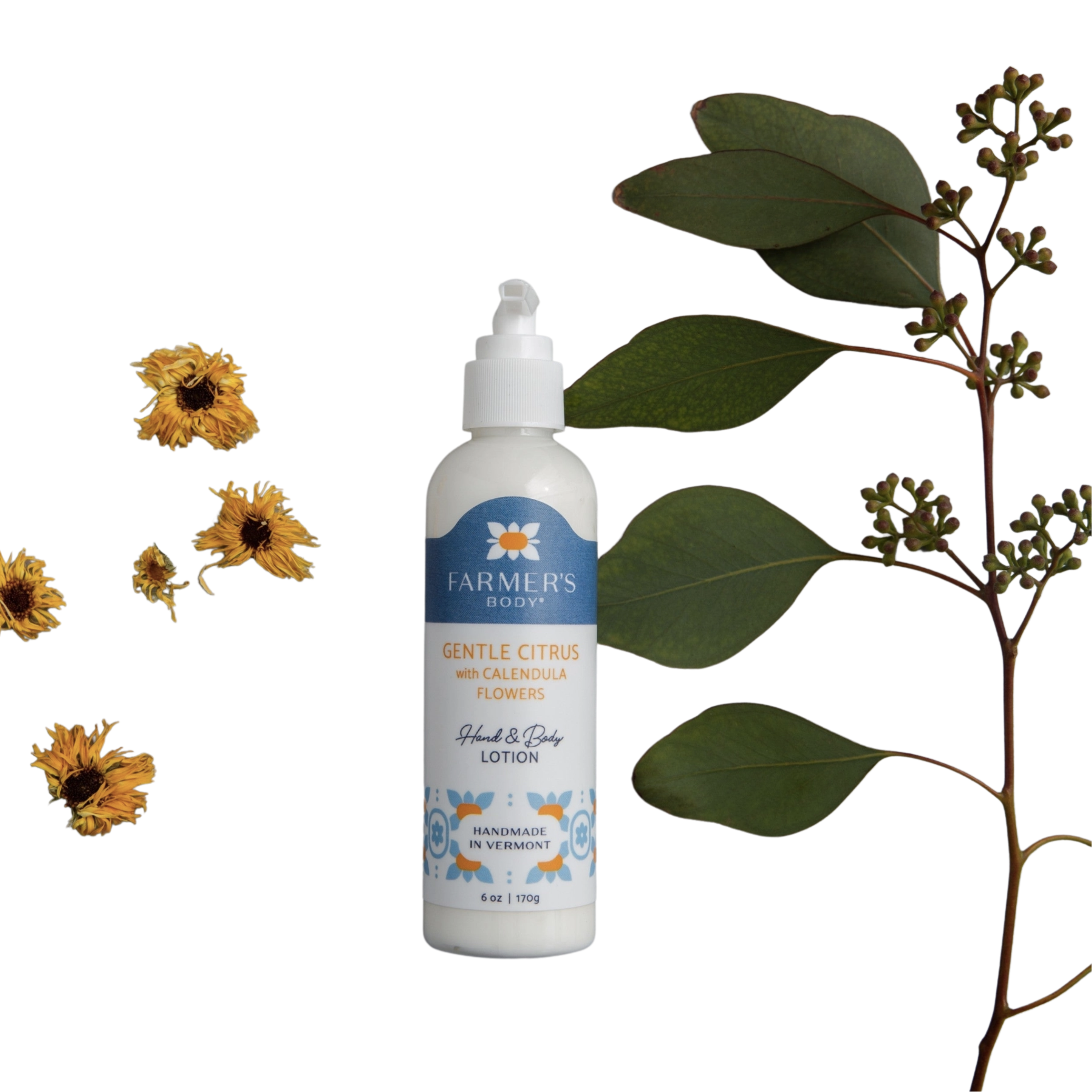 Image of Hand and Body lotion