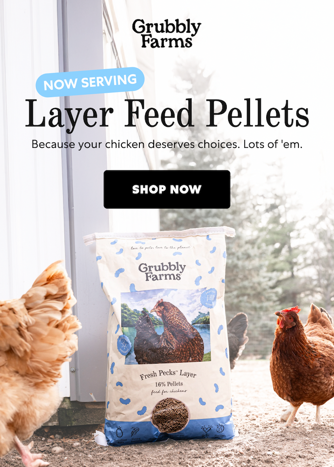 Layer Feed Pellets [ Shop Now ]