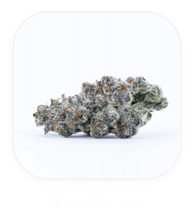 Blue Dream