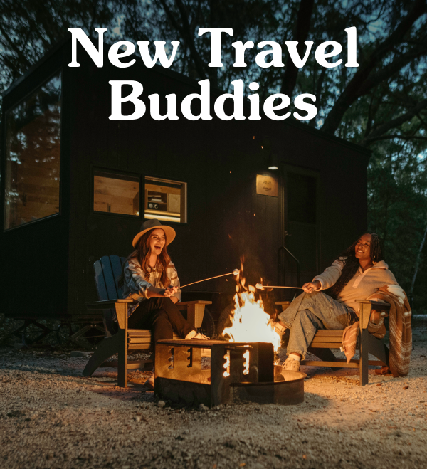 New Travel Buddies