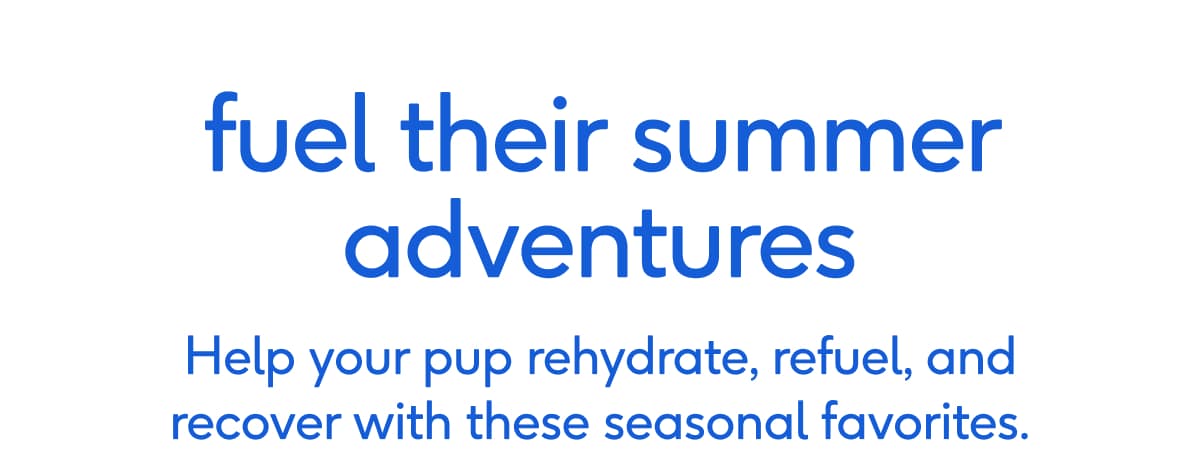 fuel their summer adventures Help your pup rehydrate, refuel, and recover with these seasonal favorites.