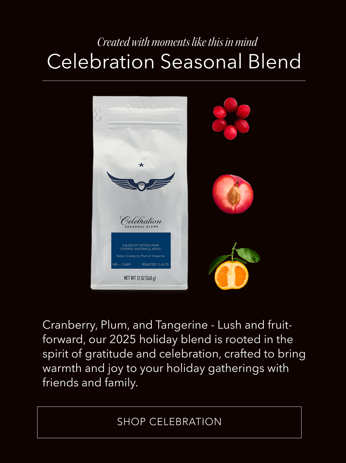 Created with moments like this in mind: Celebration Seasonal Blend. Cranberry, Plum, and Tangerine - Lush and fruit-forward, our 2025 holiday blend is rooted in the spirit of gratitude and celebration, crafted to bring warmth and joy to your holiday gatherings with friends and family. SHOP CELEBRATION