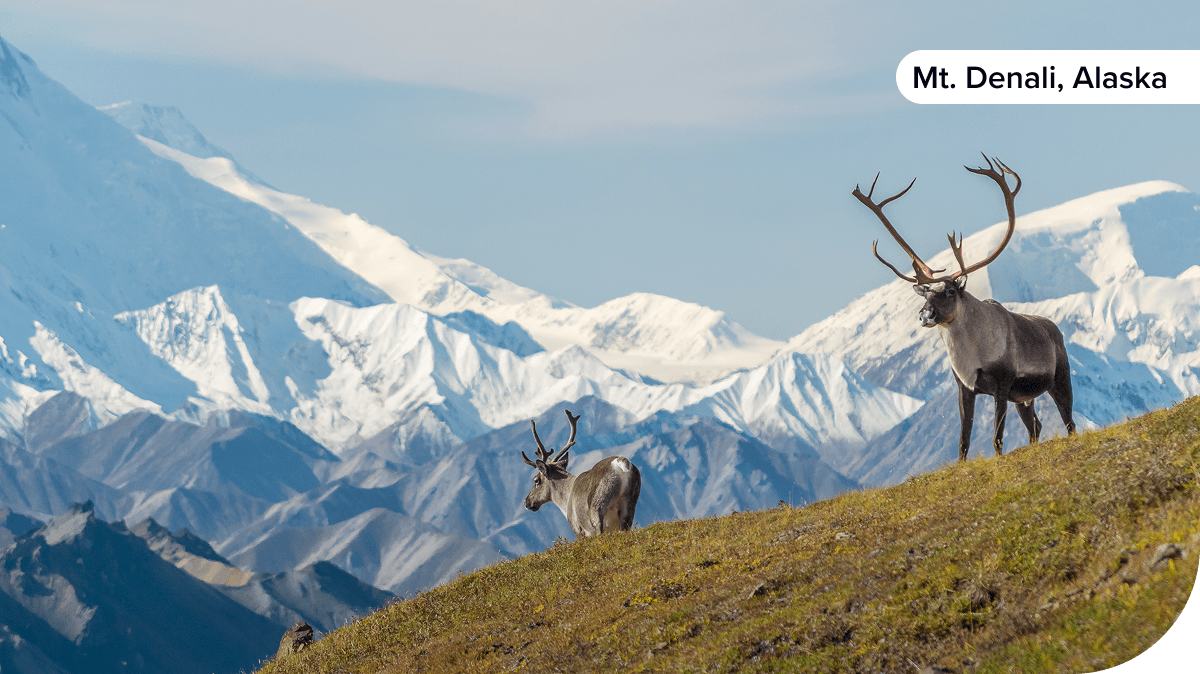 Mt. Denali, Alaska