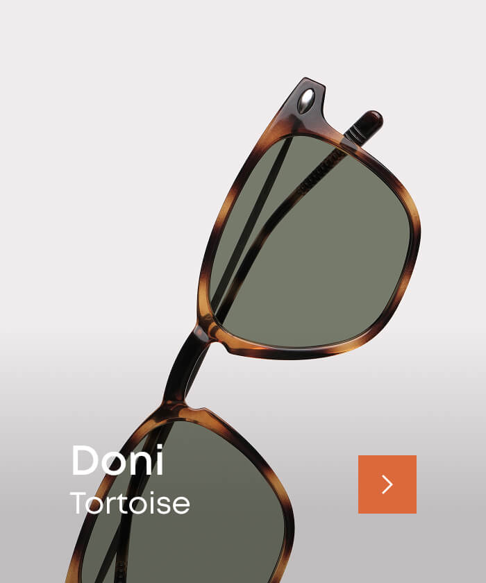 Doni tortoise