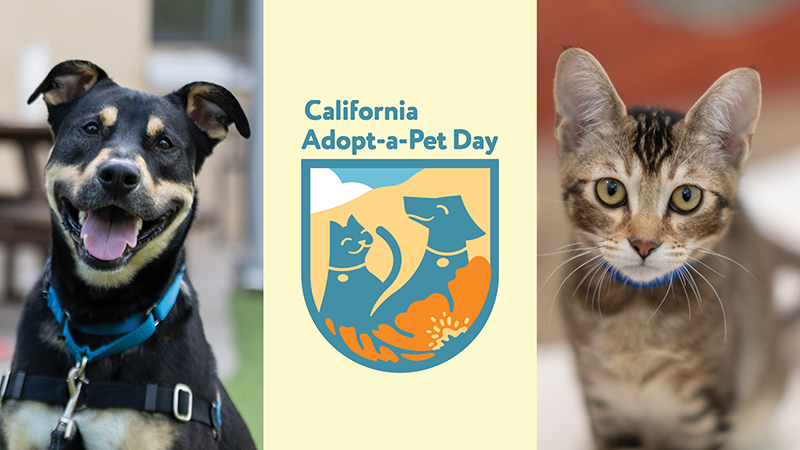 California Adopt-a-Pet Day-Saturday, June 6th-All adoptions free, one day only.