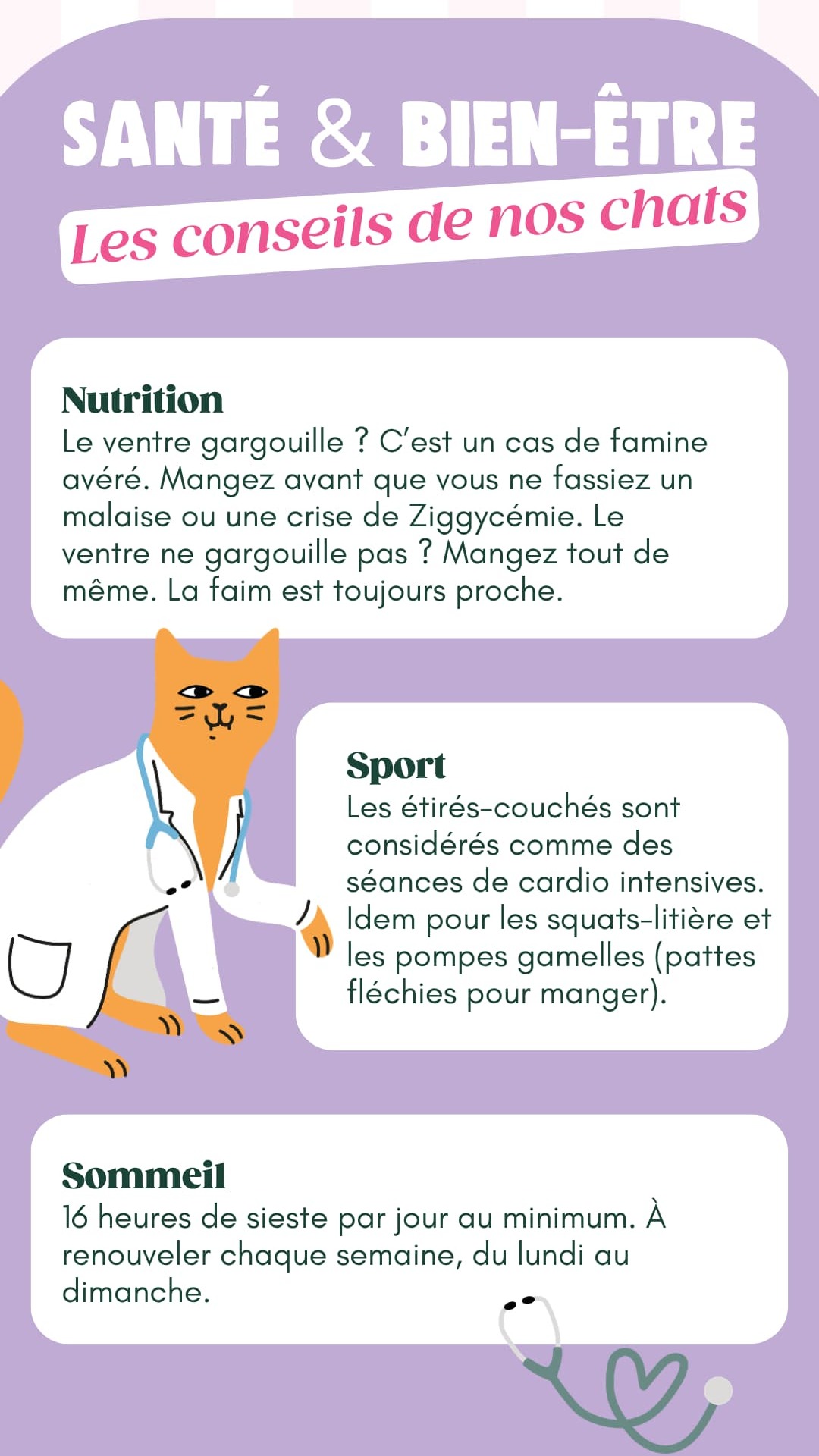 Les conseils santé de nos chats