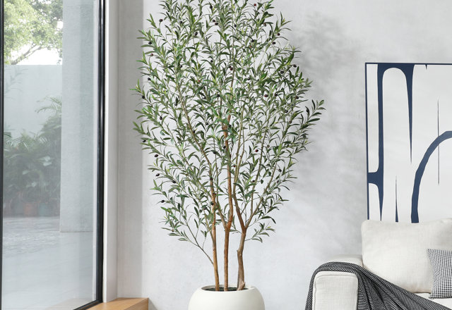 Want-List Botanicals