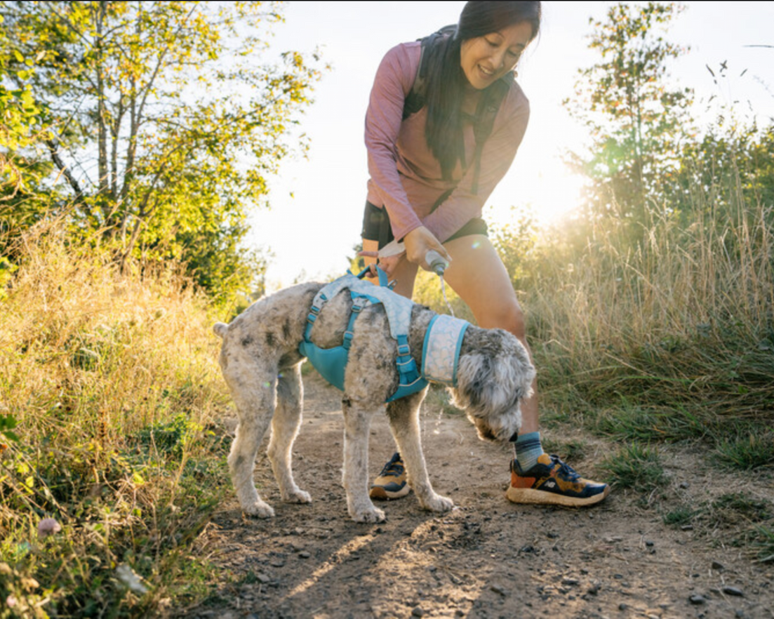 Woman with her dog, a Doodle on a hike stopping for a break to rehydrate the dogs Ruffwear Swamp Cooler Neck Gaiter with water.