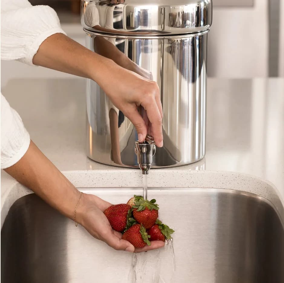 Boroux gravity-fed filtration. DESIGNER TO REPLACE
