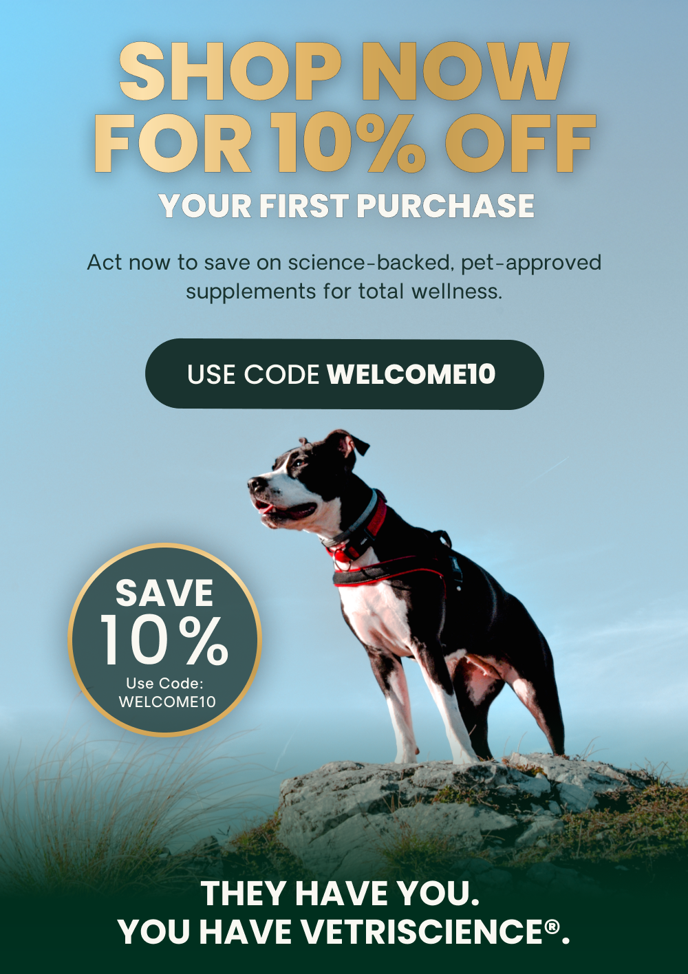 Shop now for 10 percent off | use code welcome 10