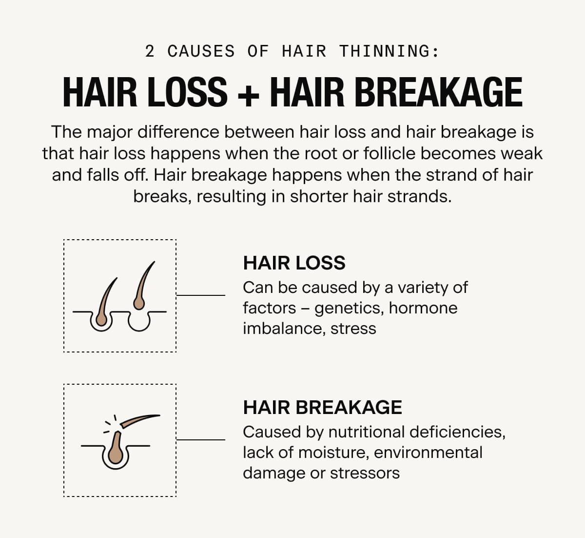 The major difference between hair loss and hair breakage is that hair loss happens when the root or follicle becomes weak and falls off. Hair breakage happens when the strand of hair breaks, resulting in shorter hair strands.