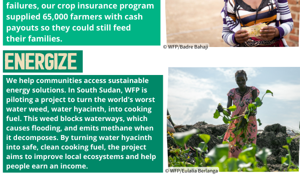 Image of a woman in Malawi and a woman in South Sudan with text next to images that read: Protect   We protect communities from climate-related financial losses. In Malawi, after a series of harvest failures, our crop insurance program supplied 65,000 farmers with cash payouts so they could still feed their families. Energize  We help communities access sustainable energy solutions. In South Sudan, WFP is piloting a project to turn the world's worst water weed, water hyacinth, into cooking fuel. This weed blocks waterways, which causes flooding and emits methane when it decomposes. By turning water hyacinth into safe, clean cooking fuel, the project aims to improve local
ecosystems and help people earn an income.