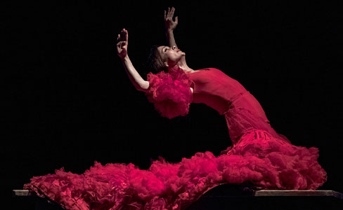 Music & dance