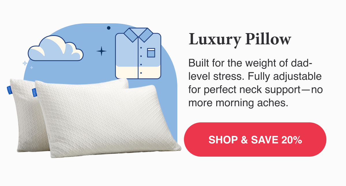 Luxury Pillow