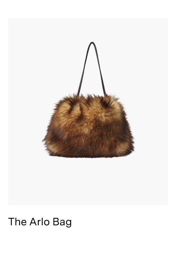 Arlo Bag