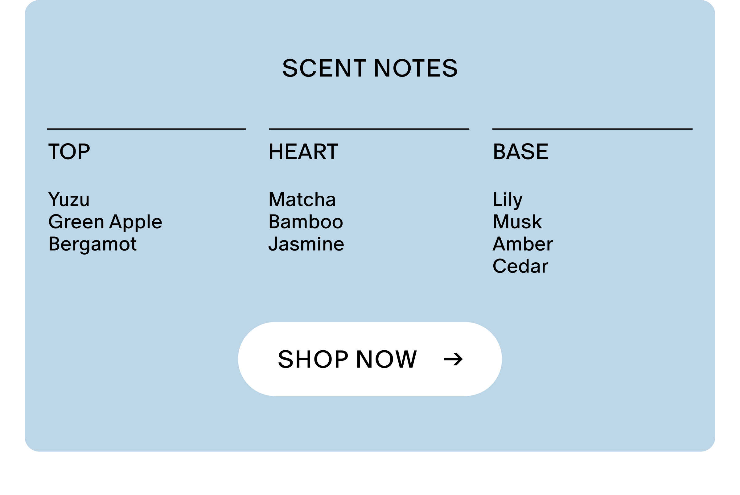 scent notes