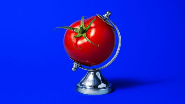 A red tomato shaped like a globe sits on a shiny silver globe stand against a bold blue background.