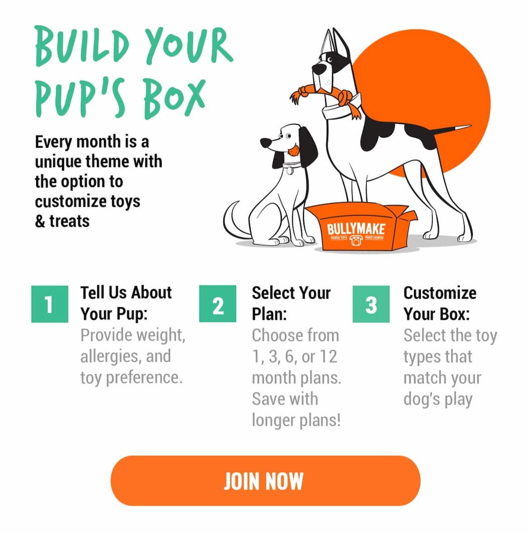 Bullymake Dog Toy Subscription Box