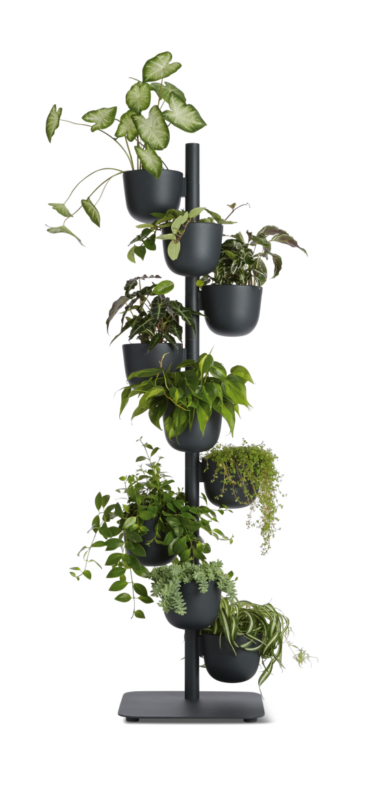 Story Planter