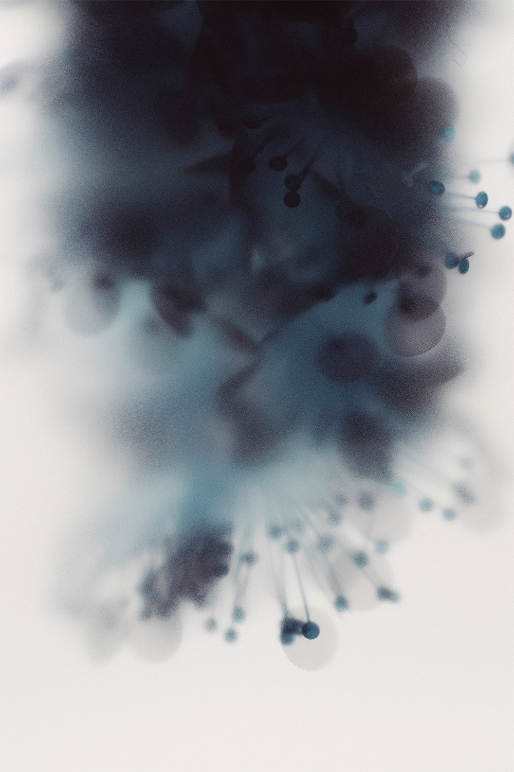 Fiberium 01