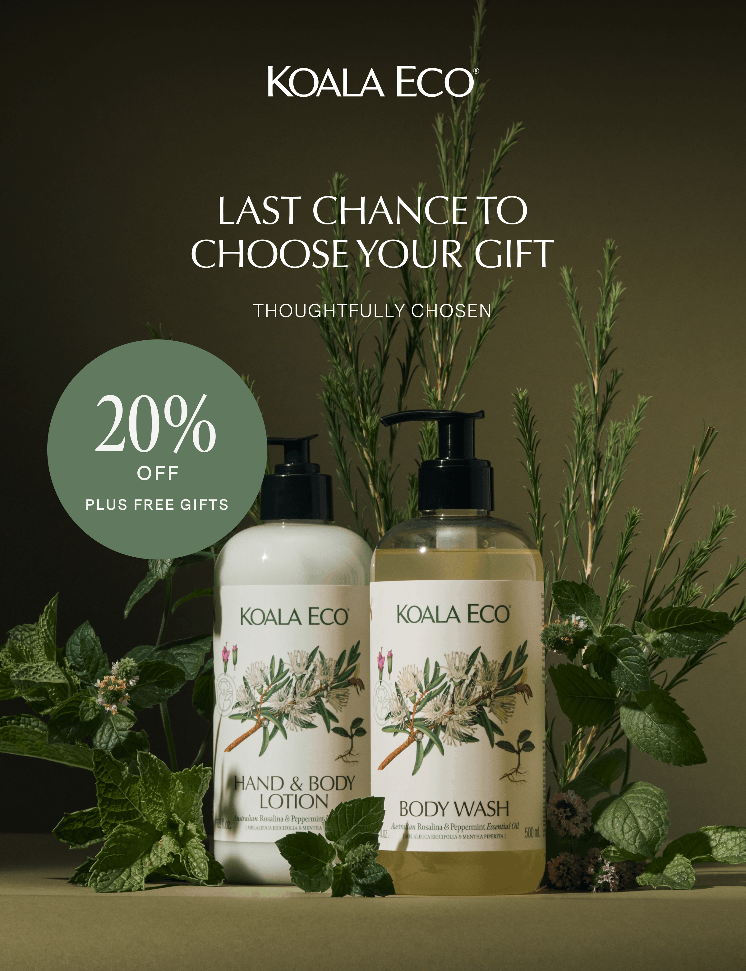 KOALA ECO: LAST CHANCE TO CHOOSE YOUR GIFT