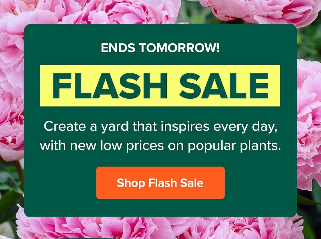 Flash Sale ends tomorrow, too!!!! Shop limited-time price drops>>