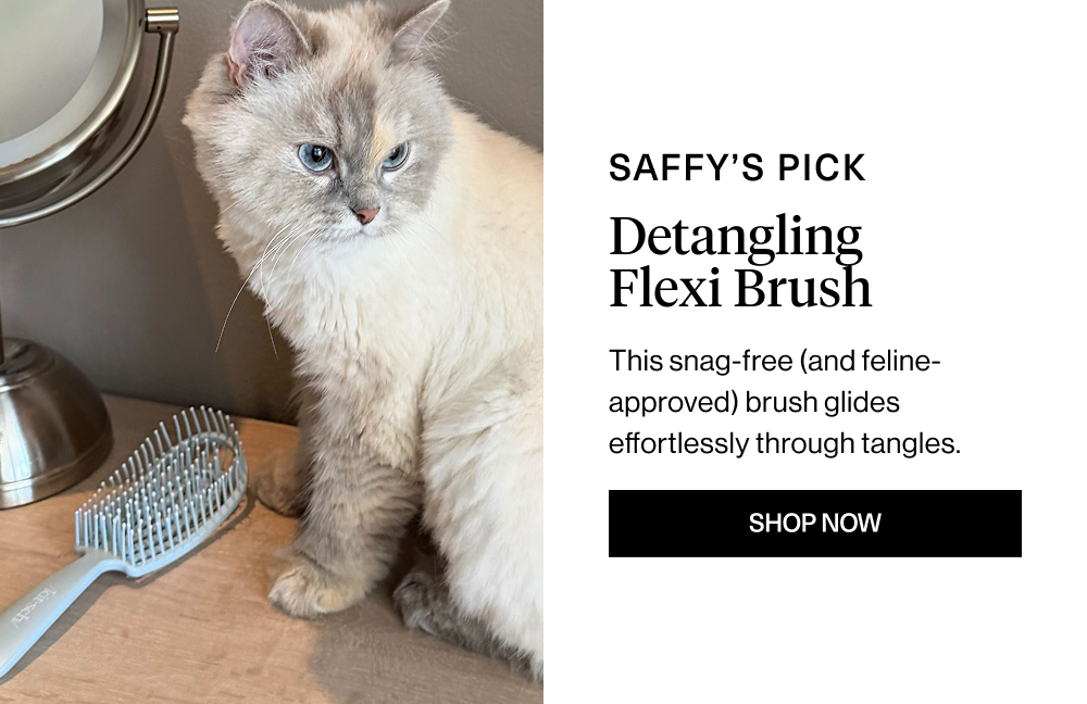 Overhead: Saffy’s Pick Headline: Detangling Flexi Brush Body Copy: This snag-free (and feline-approved) brush glides effortlessly through tangles.