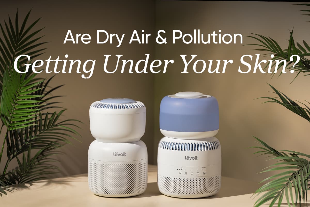 Are dry air and pollution getting under your skin?